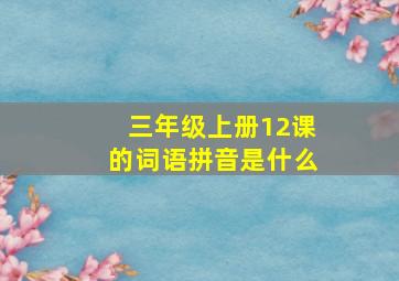 三年级上册12课的词语拼音是什么