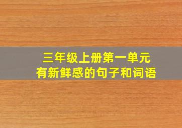 三年级上册第一单元有新鲜感的句子和词语