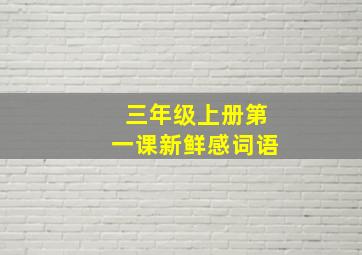 三年级上册第一课新鲜感词语