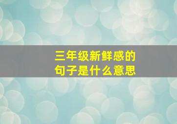 三年级新鲜感的句子是什么意思