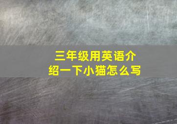 三年级用英语介绍一下小猫怎么写