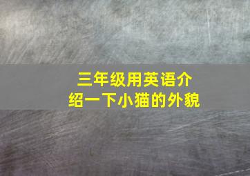 三年级用英语介绍一下小猫的外貌