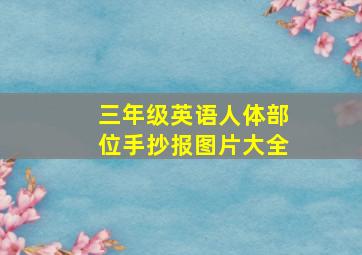 三年级英语人体部位手抄报图片大全