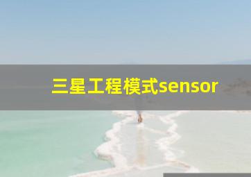 三星工程模式sensor