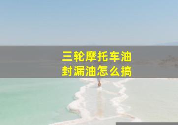 三轮摩托车油封漏油怎么搞