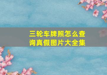 三轮车牌照怎么查询真假图片大全集