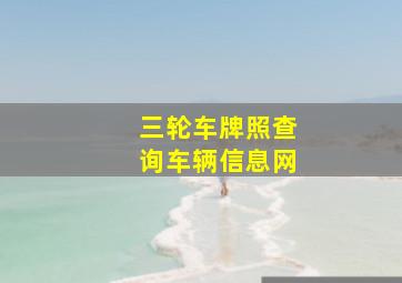 三轮车牌照查询车辆信息网