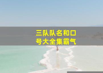 三队队名和口号大全集霸气