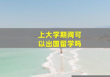 上大学期间可以出国留学吗