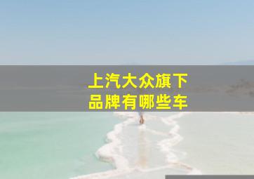 上汽大众旗下品牌有哪些车