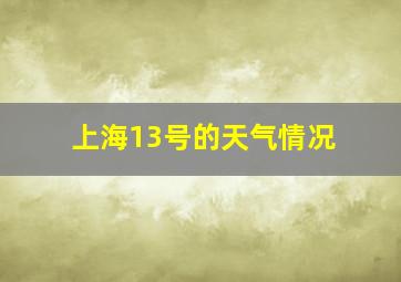 上海13号的天气情况