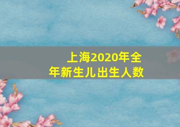 上海2020年全年新生儿出生人数