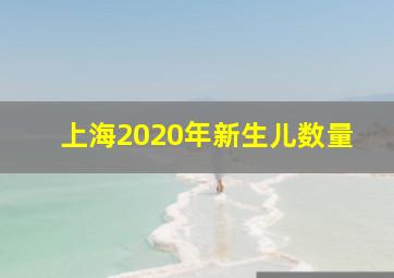 上海2020年新生儿数量