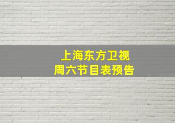 上海东方卫视周六节目表预告