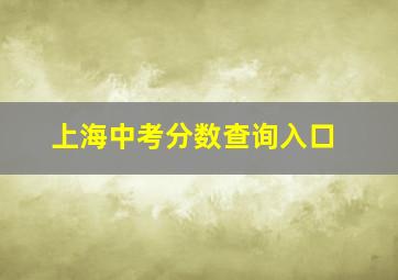 上海中考分数查询入口