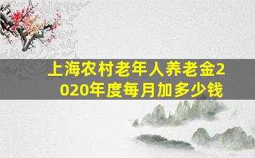 上海农村老年人养老金2020年度每月加多少钱