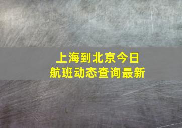 上海到北京今日航班动态查询最新