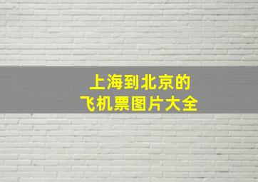 上海到北京的飞机票图片大全