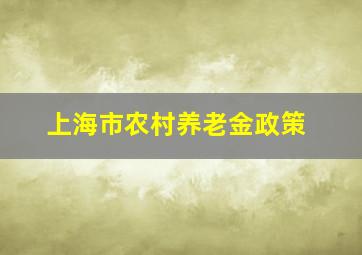 上海市农村养老金政策