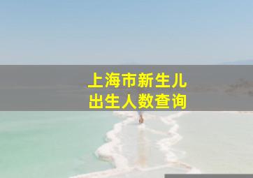 上海市新生儿出生人数查询