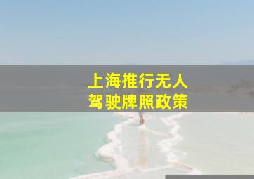 上海推行无人驾驶牌照政策