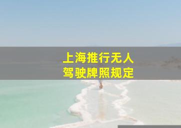 上海推行无人驾驶牌照规定