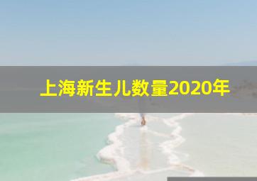 上海新生儿数量2020年