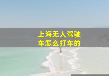 上海无人驾驶车怎么打车的