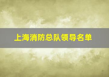 上海消防总队领导名单