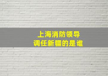 上海消防领导调任新疆的是谁