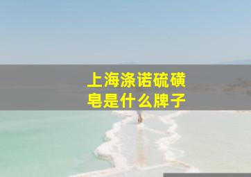 上海涤诺硫磺皂是什么牌子