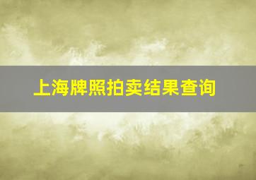 上海牌照拍卖结果查询