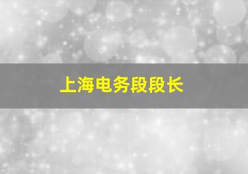 上海电务段段长