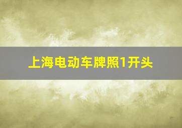 上海电动车牌照1开头