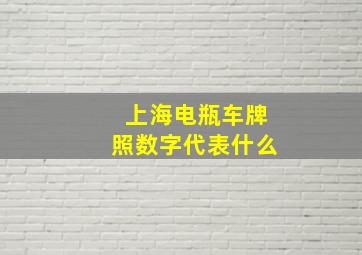 上海电瓶车牌照数字代表什么