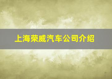 上海荣威汽车公司介绍