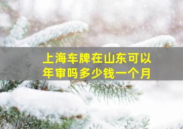 上海车牌在山东可以年审吗多少钱一个月