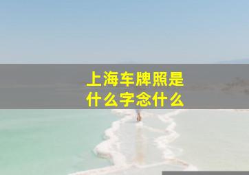 上海车牌照是什么字念什么