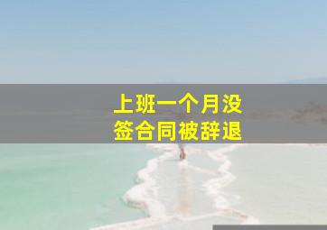 上班一个月没签合同被辞退