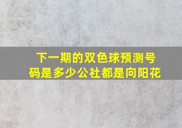 下一期的双色球预测号码是多少公社都是向阳花