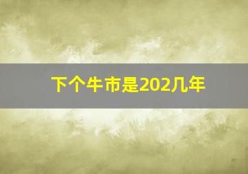 下个牛市是202几年