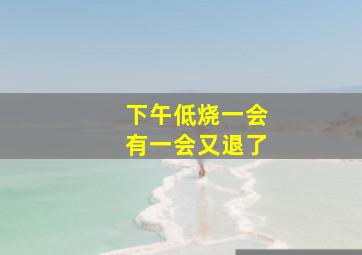 下午低烧一会有一会又退了