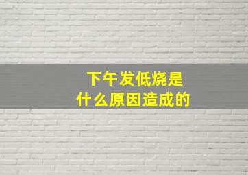 下午发低烧是什么原因造成的