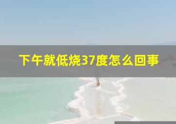 下午就低烧37度怎么回事