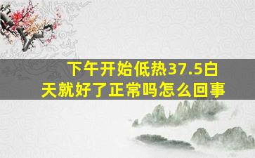 下午开始低热37.5白天就好了正常吗怎么回事