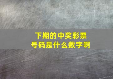 下期的中奖彩票号码是什么数字啊