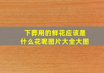 下葬用的鲜花应该是什么花呢图片大全大图