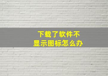 下载了软件不显示图标怎么办