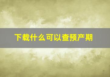 下载什么可以查预产期