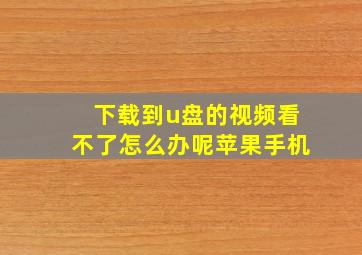 下载到u盘的视频看不了怎么办呢苹果手机